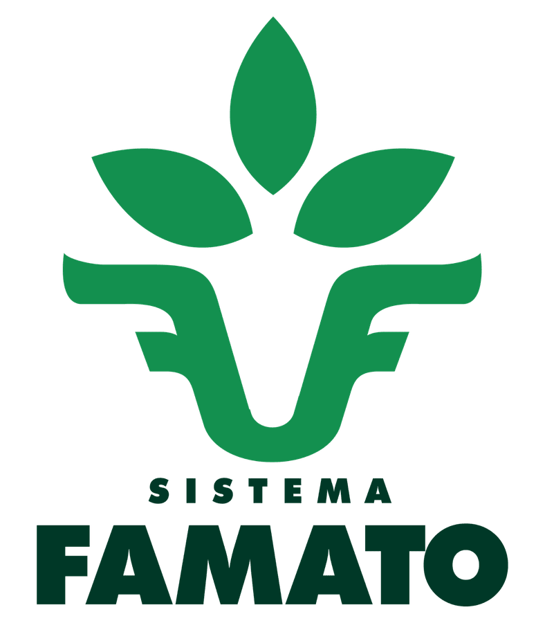 Sistema FAMATO